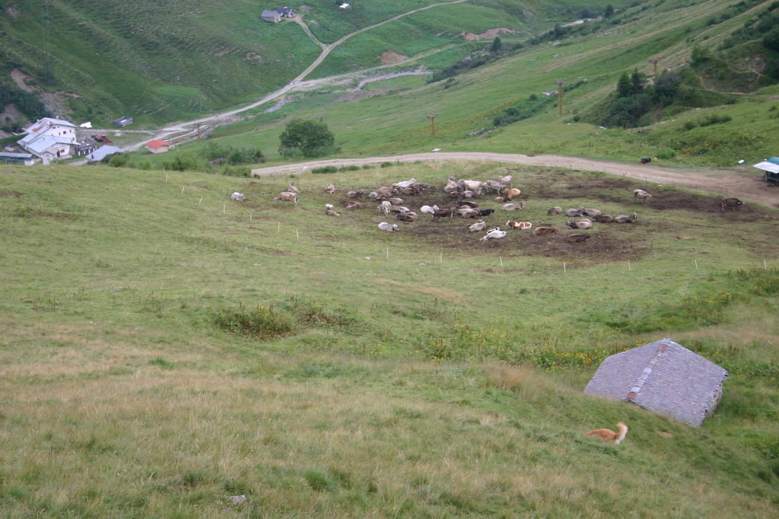 Lavori Valgussera 00014